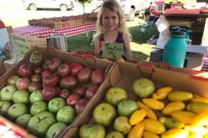 You can buy fresh produce at the Festival's Farmer's Market